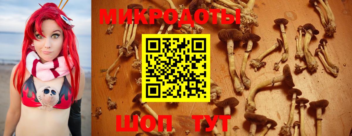 Элиста  Галлюциногенные грибы мухоморы  Вход с VPN  Галлюциногенные грибы мухоморы 
